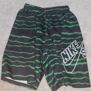 Nike sb shorts